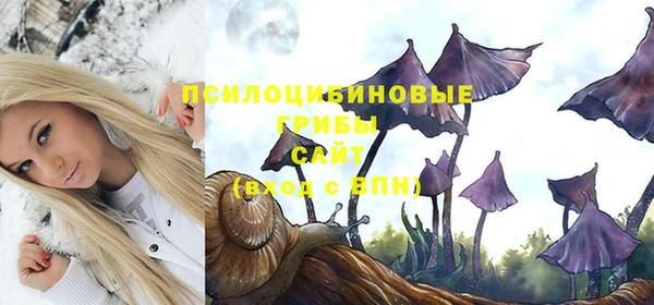 герыч Бердск