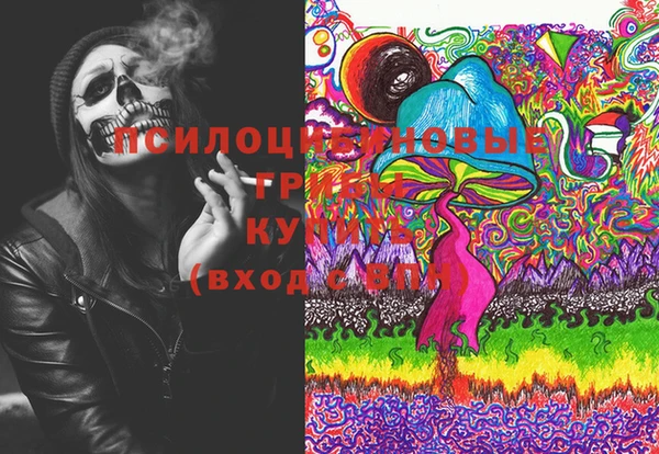 шишки Алагир