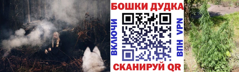 Конопля гибрид  Фатеж 